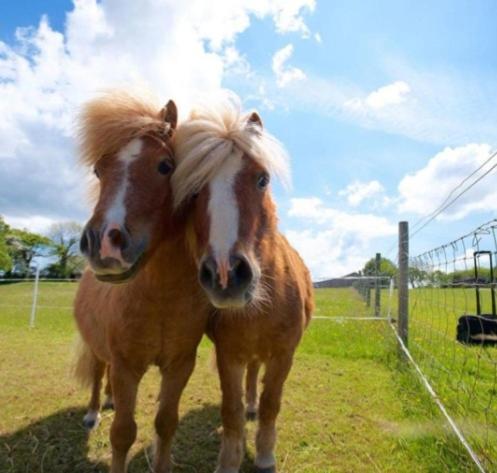 Holiday Home - セント・オーステル エクステリア 写真